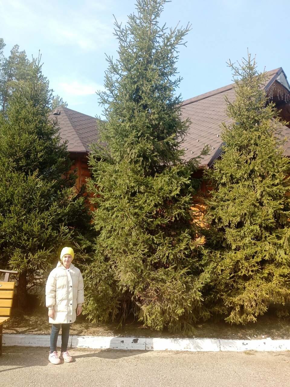 Отель Ирбис Казань