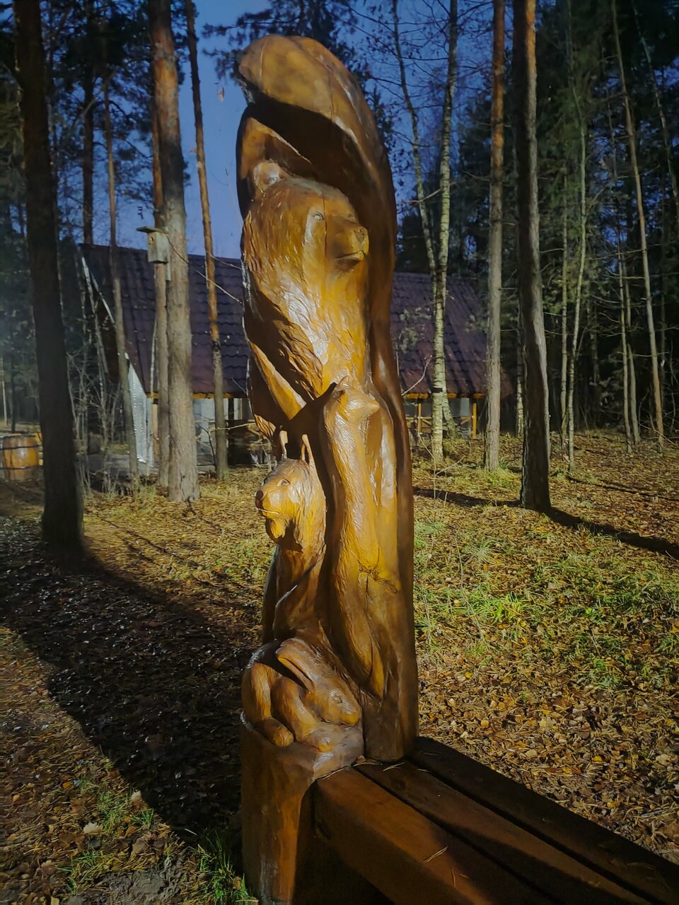 Отель Ирбис Казань-205