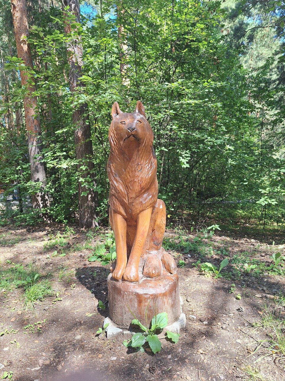 Отель Ирбис Казань-150