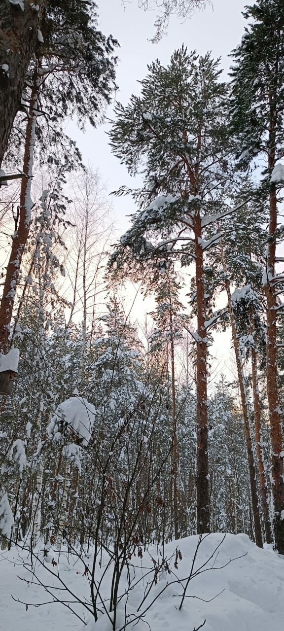 Отель Ирбис Казань-176