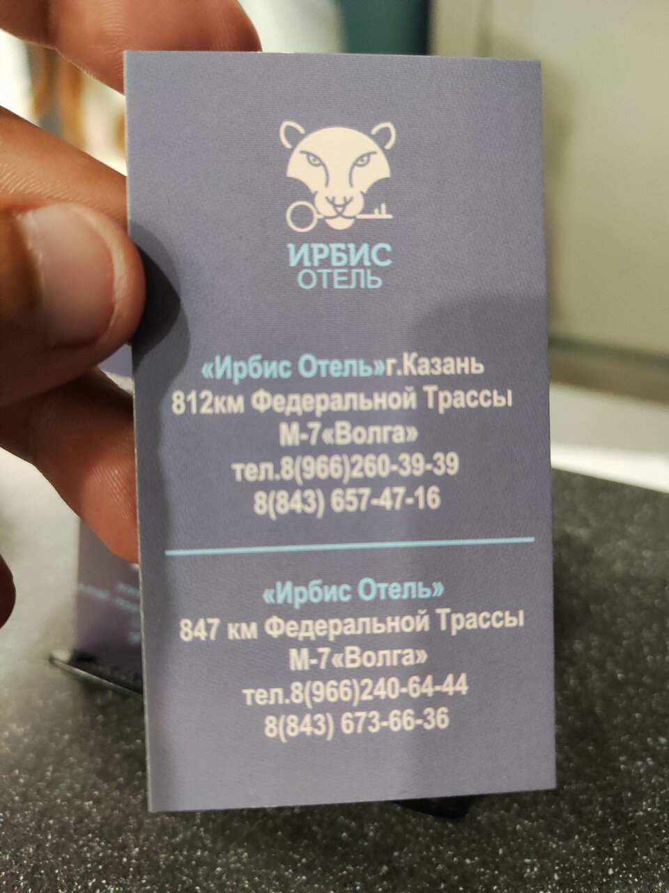 Отель Ирбис Казань-128