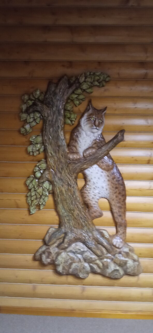 Отель Ирбис Казань-135