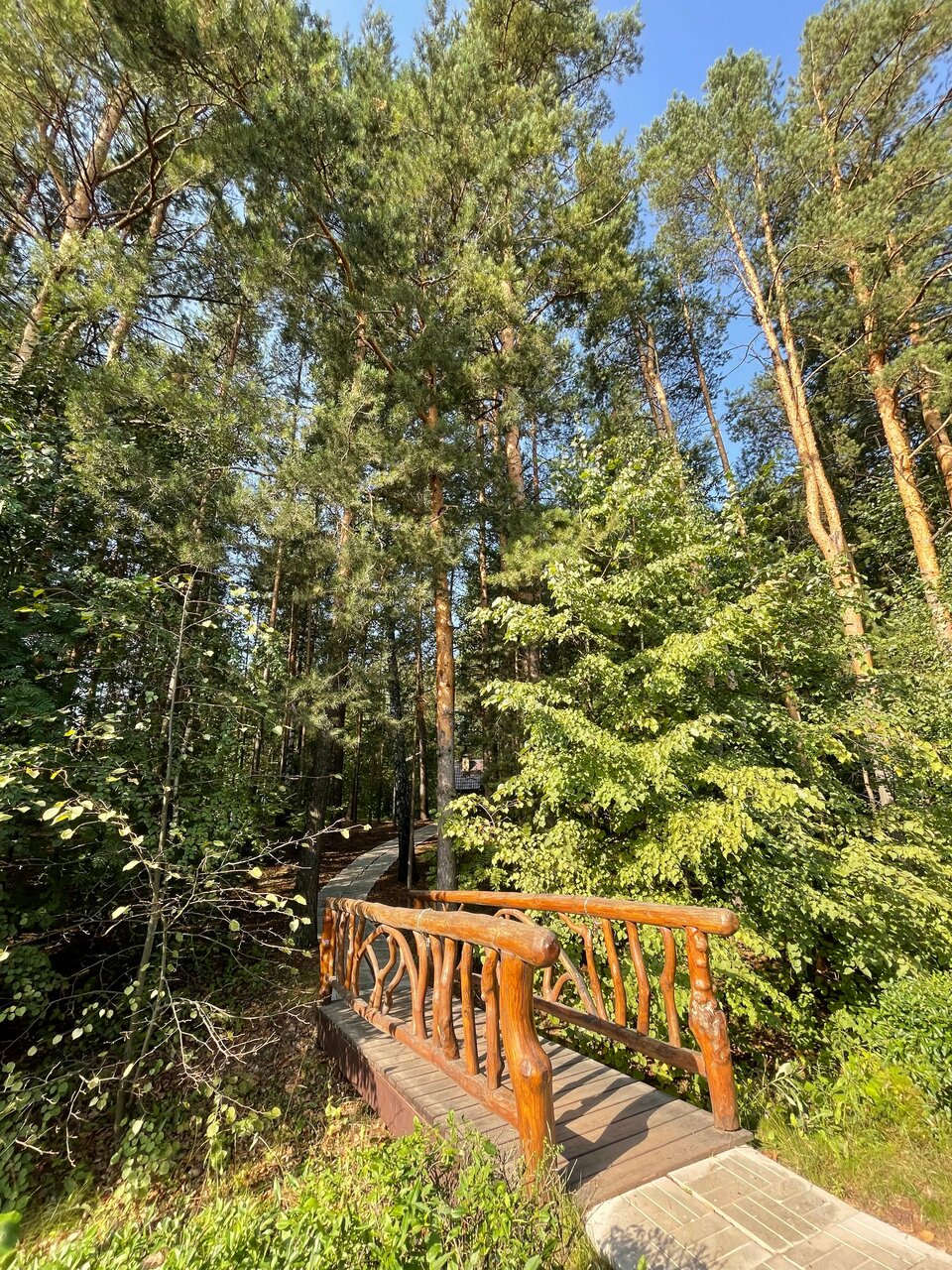 Отель Ирбис Казань-231