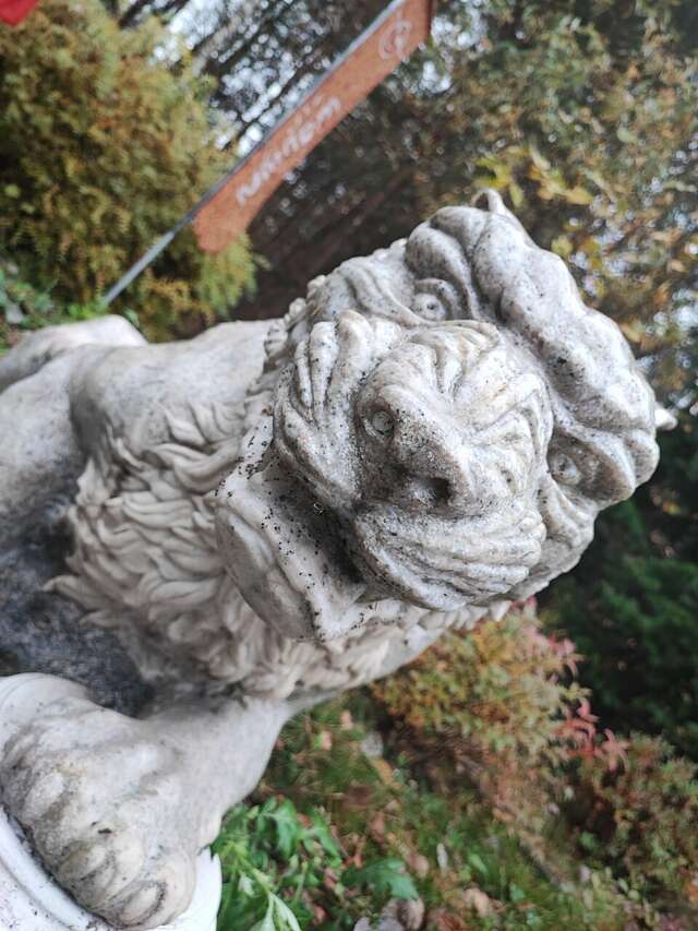 Отель Ирбис Казань-152