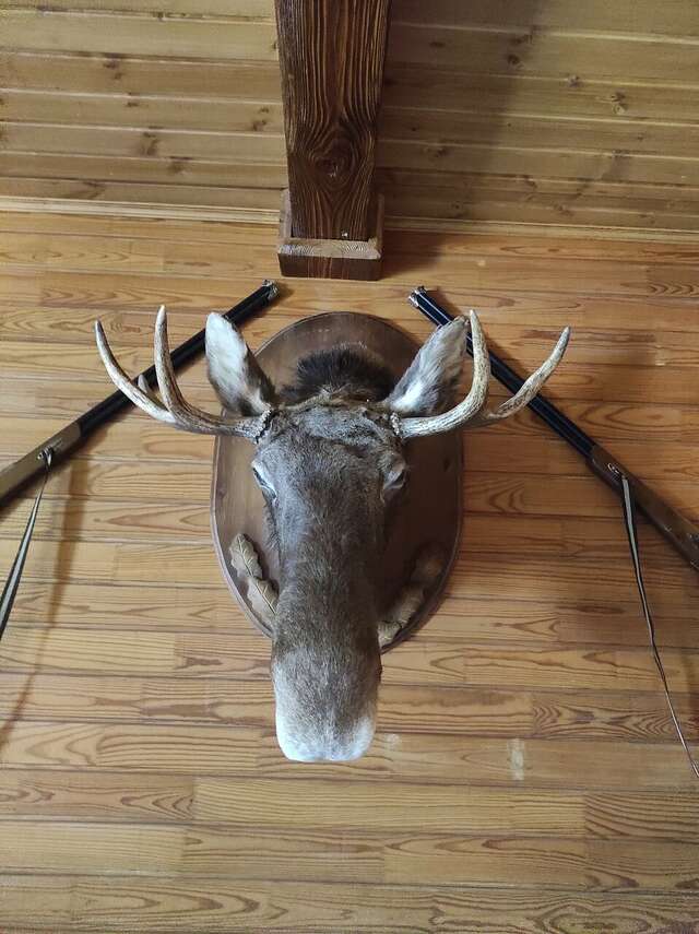 Отель Ирбис Казань-146