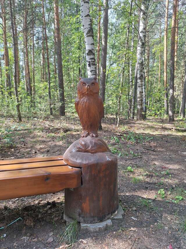 Отель Ирбис Казань-220