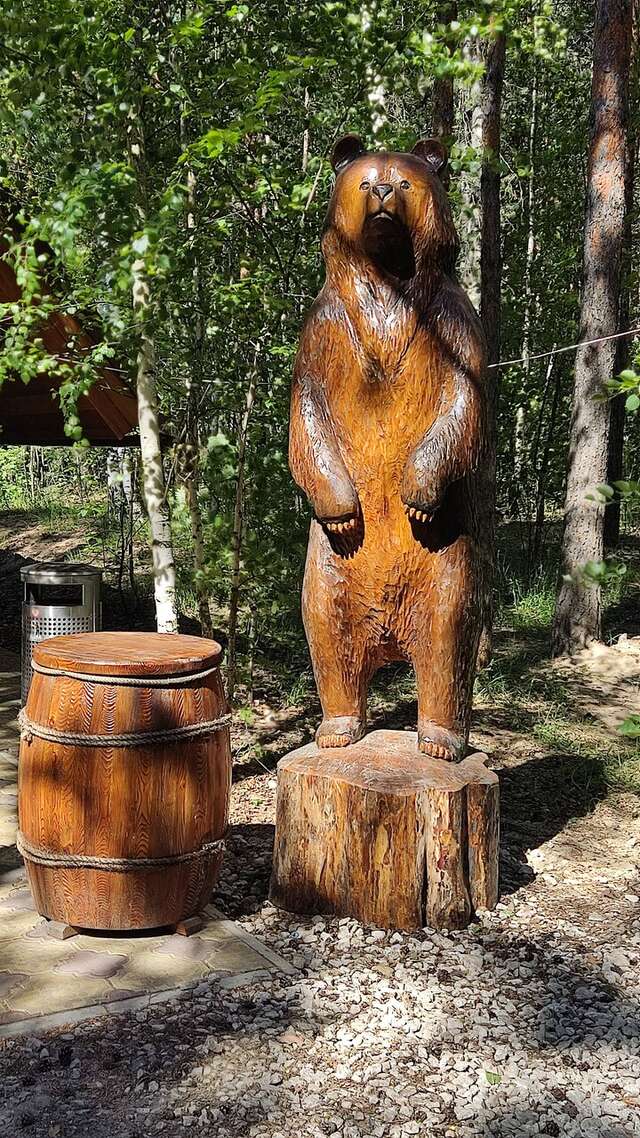 Отель Ирбис Казань-161