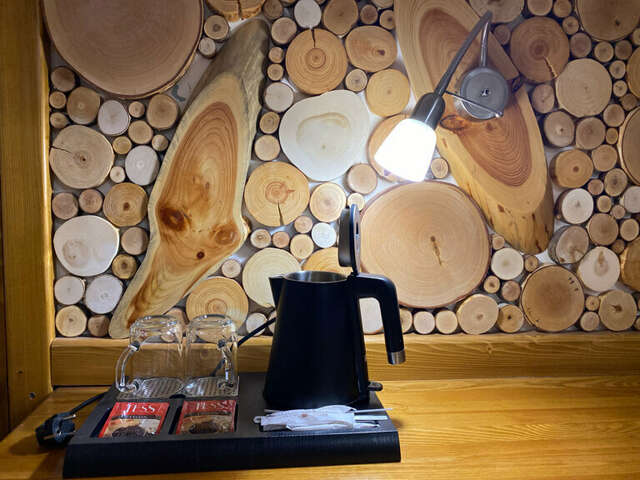 Отель Ирбис Казань-188