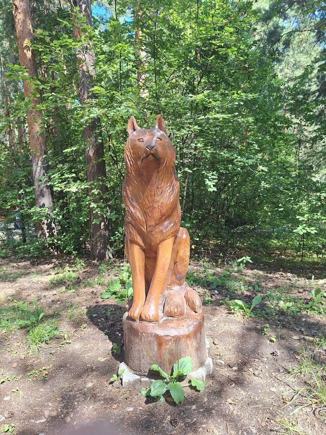 Отель Ирбис Казань-149