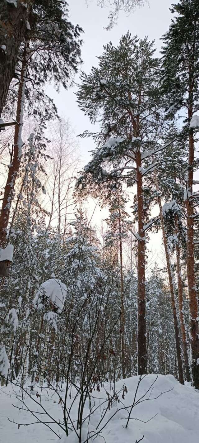Отель Ирбис Казань-175