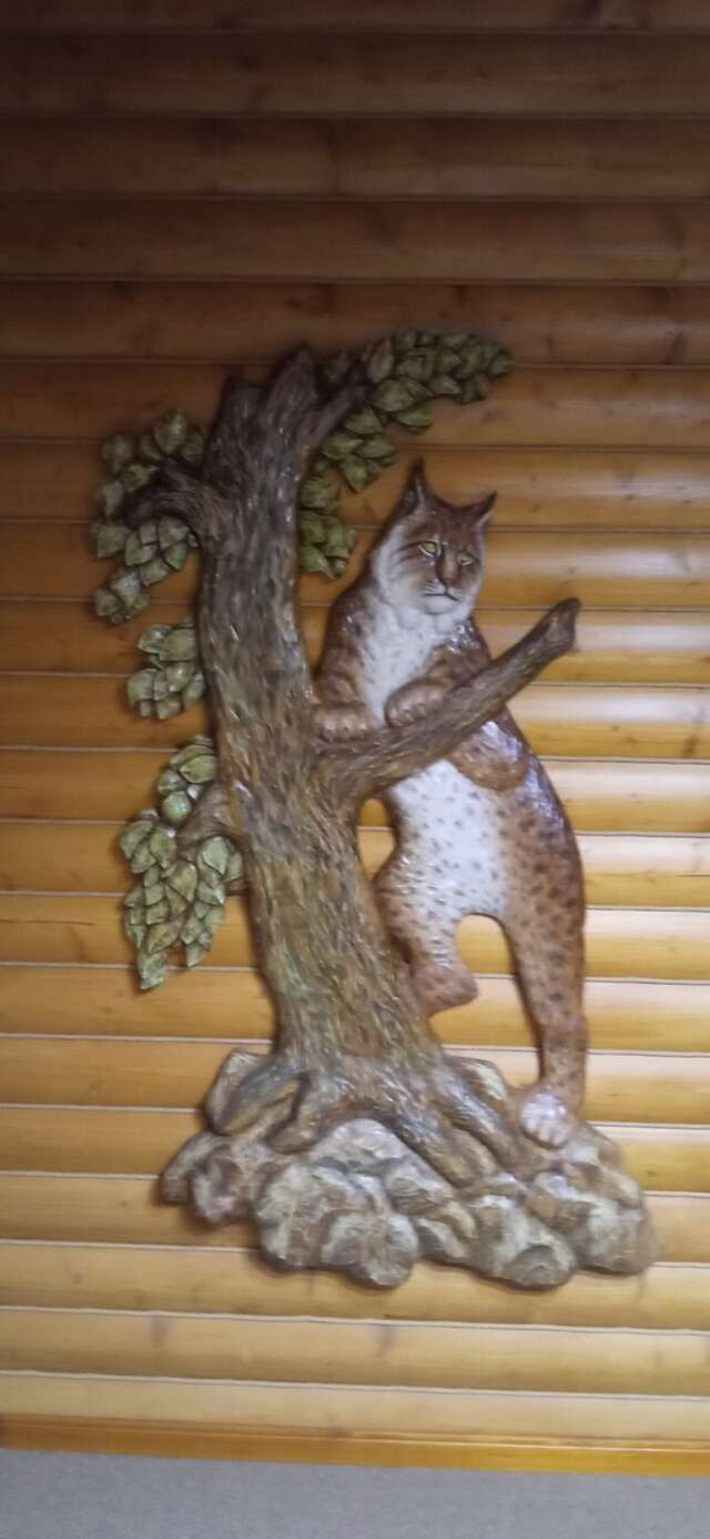 Отель Ирбис Казань-134